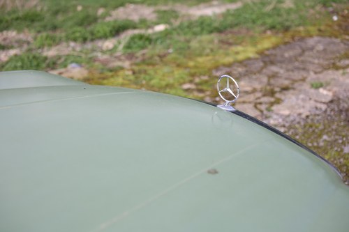 1974 Mercedes-Benz W116 450SE In vendita (immagine 195 di 371)