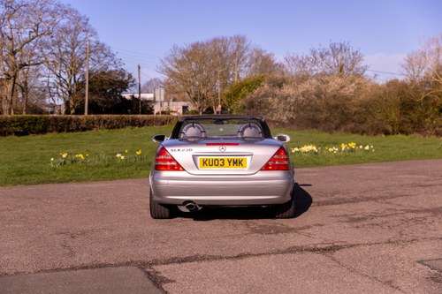 2003 Mercedes-Benz R170 SLK230 For Sale (picture 16 of 209)