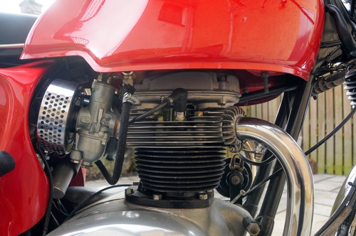 1966 BSA Spitfire Mk2 Special In vendita (immagine 224 di 252)