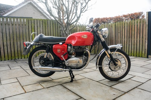 1966 BSA Spitfire Mk2 Special In vendita (immagine 13 di 252)