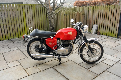 1966 BSA Spitfire Mk2 Special In vendita (immagine 14 di 252)