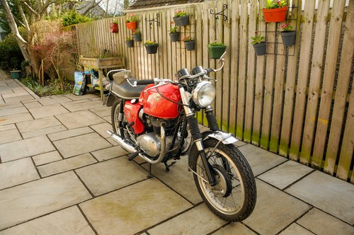 1966 BSA Spitfire Mk2 Special In vendita (immagine 2 di 252)