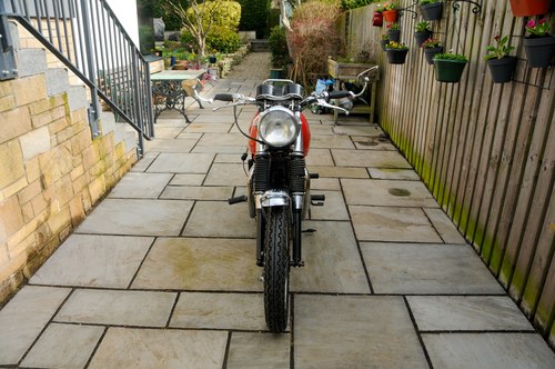 1966 BSA Spitfire Mk2 Special In vendita (immagine 31 di 252)