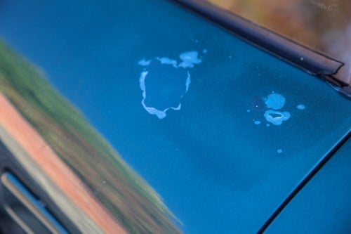 1997 GTD R42 Spectre Te koop (foto 83 van 112)