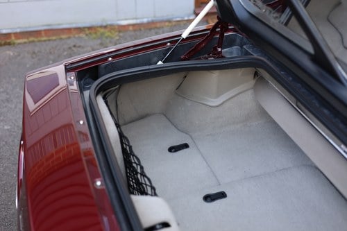 2003 Chevrolet Corvette (C5) 50th Anniversary Edition zum Verkauf (Bild 116 von 324)