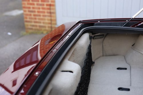 2003 Chevrolet Corvette (C5) 50th Anniversary Edition zum Verkauf (Bild 117 von 324)