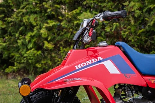 1980 Honda TRX 70 For Sale (picture 14 of 24)