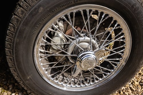 1958 MGA 1500 RHD à vendre (picture 89 of 164)