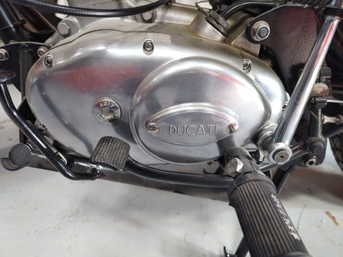 1973 Ducati 350 Scrambler till salu (bild 17 av 45)