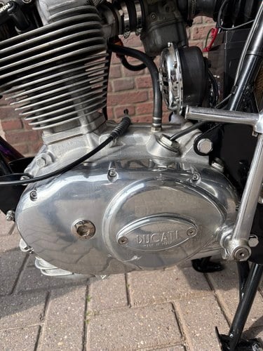 1975 Ducati 350 Mk3 à vendre (picture 8 of 43)