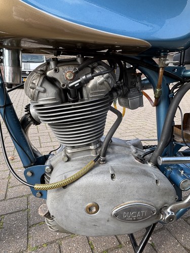 1960 Ducati 175SS In vendita (immagine 13 di 42)