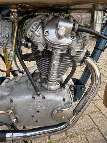 1960 Ducati 175SS In vendita (immagine 18 di 42)