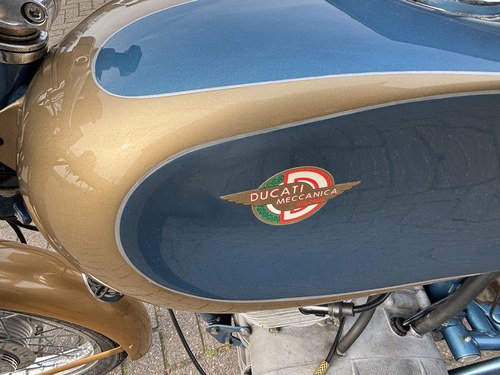 1960 Ducati 175SS In vendita (immagine 23 di 42)