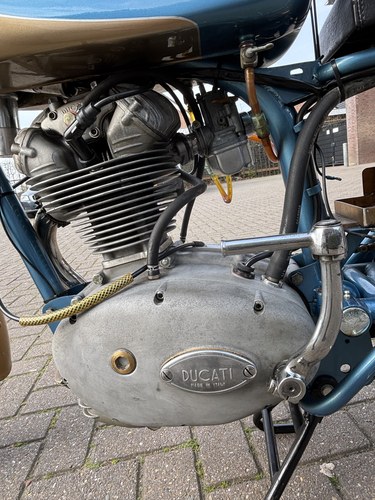 1960 Ducati 175SS In vendita (immagine 24 di 42)
