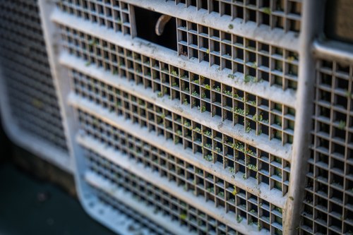 1980 Land Rover Series III à venda (imagem 63 de 136)