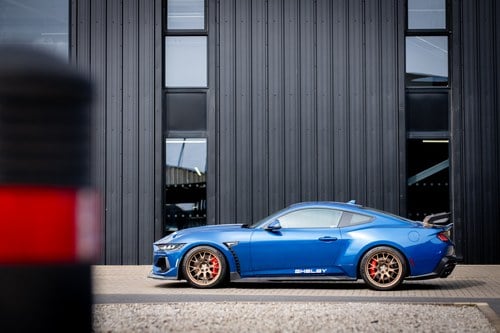 2024 Shelby Super Snake - 2.3k Miles à vendre (picture 9 of 221)