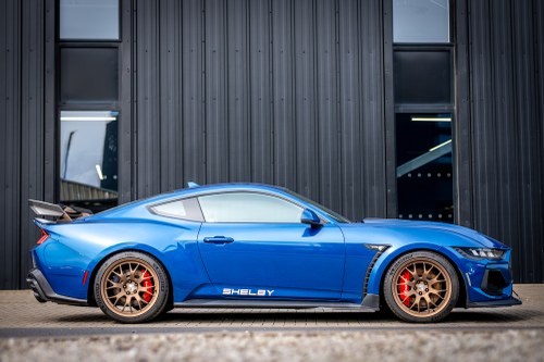 2024 Shelby Super Snake - 2.3k Miles à vendre (picture 11 of 221)