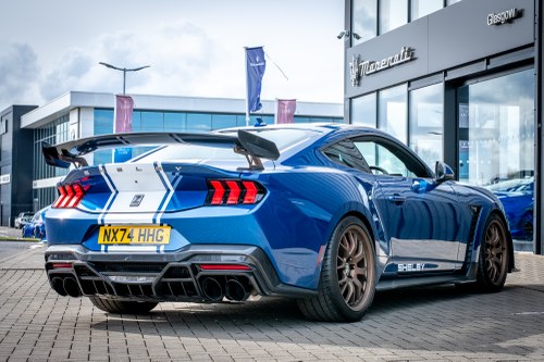 2024 Shelby Super Snake - 2.3k Miles à vendre (picture 22 of 221)