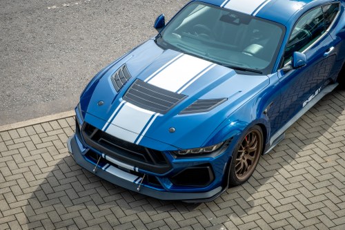 2024 Shelby Super Snake - 2.3k Miles à vendre (picture 29 of 221)