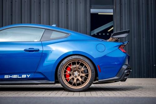 2024 Shelby Super Snake - 2.3k Miles à vendre (picture 101 of 221)