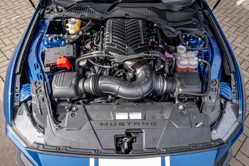 2024 Shelby Super Snake - 2.3k Miles à vendre (picture 181 of 221)