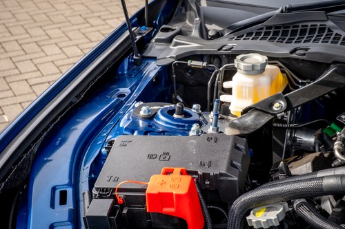 2024 Shelby Super Snake - 2.3k Miles à vendre (picture 184 of 221)