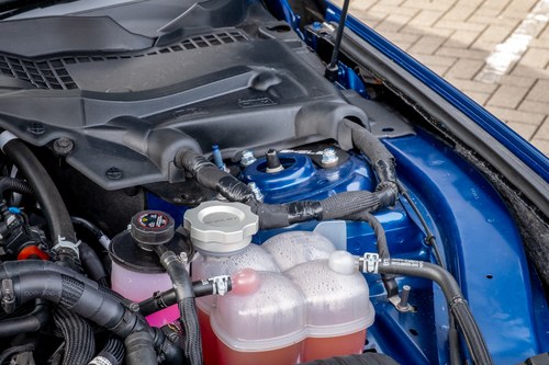 2024 Shelby Super Snake - 2.3k Miles à vendre (picture 185 of 221)