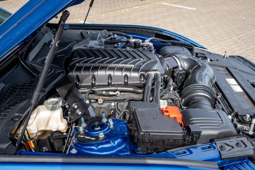 2024 Shelby Super Snake - 2.3k Miles à vendre (picture 187 of 221)