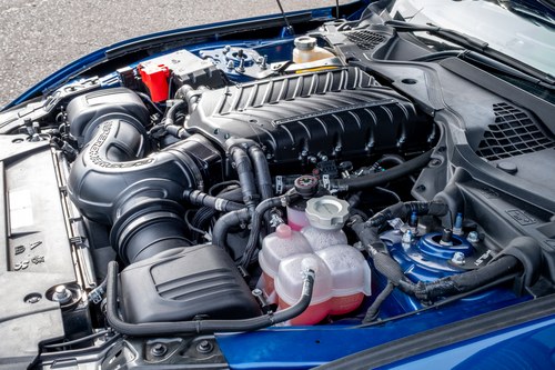 2024 Shelby Super Snake - 2.3k Miles à vendre (picture 188 of 221)