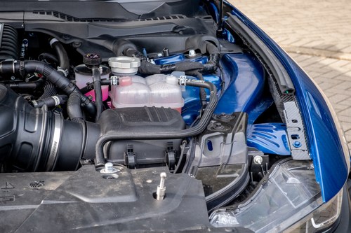 2024 Shelby Super Snake - 2.3k Miles à vendre (picture 191 of 221)