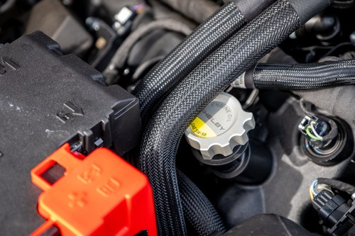 2024 Shelby Super Snake - 2.3k Miles à vendre (picture 192 of 221)