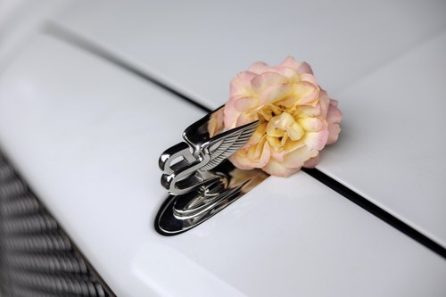 2011 Bentley Mulsanne For Sale (picture 74 of 93)