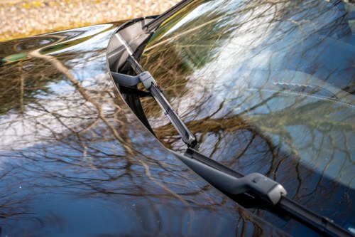 2019 BMW M5 F90 En venta (imagen 144 de 221)