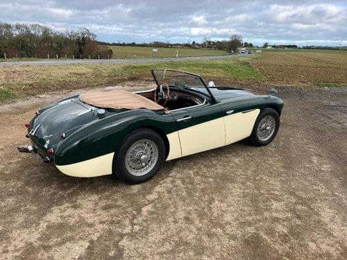 1958 AUSTIN HEALEY 100/6 100/6 BN4 In vendita