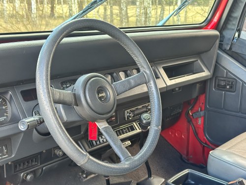 1995 Jeep Wrangler YJ En venta (imagen 16 de 104)