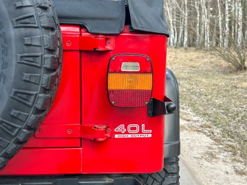 1995 Jeep Wrangler YJ En venta (imagen 62 de 104)