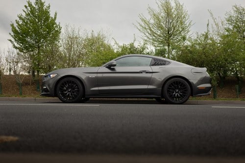 2016 Ford Mustang GT à venda (imagem 15 de 218)