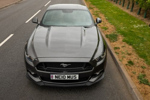2016 Ford Mustang GT à venda (imagem 29 de 218)