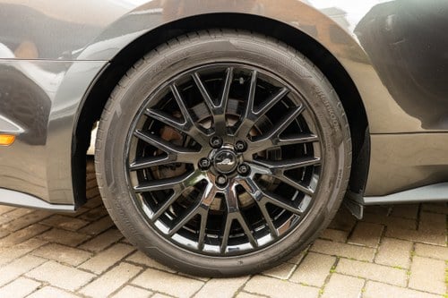 2016 Ford Mustang GT à venda (imagem 34 de 218)