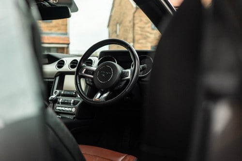 2016 Ford Mustang GT à venda (imagem 51 de 218)