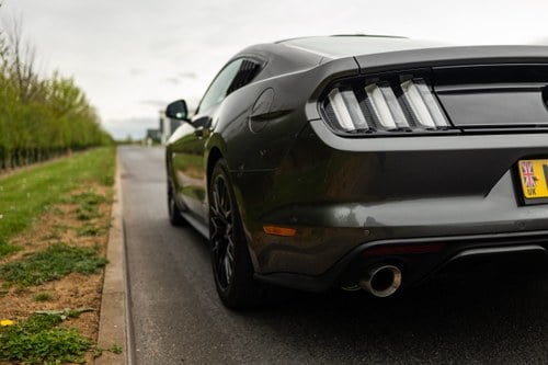 2016 Ford Mustang GT à venda (imagem 131 de 218)