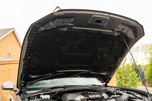 2016 Ford Mustang GT à venda (imagem 169 de 218)