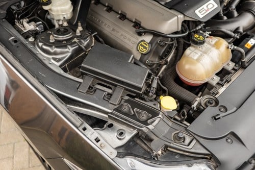 2016 Ford Mustang GT à venda (imagem 173 de 218)