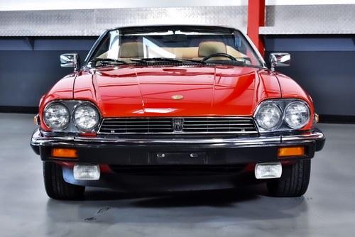 1990 Jaguar XJS Convertible 5,3L V12 "Classic Collection" In vendita (immagine 3 di 121)