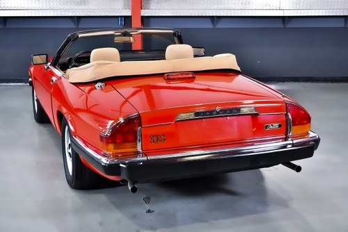 1990 Jaguar XJS Convertible 5,3L V12 "Classic Collection" In vendita (immagine 14 di 121)