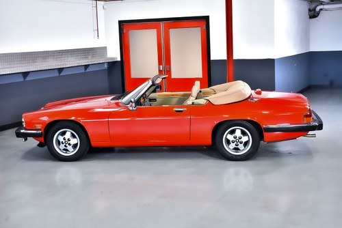 1990 Jaguar XJS Convertible 5,3L V12 "Classic Collection" In vendita (immagine 20 di 121)