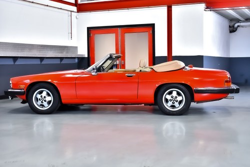 1990 Jaguar XJS Convertible 5,3L V12 "Classic Collection" In vendita (immagine 22 di 121)