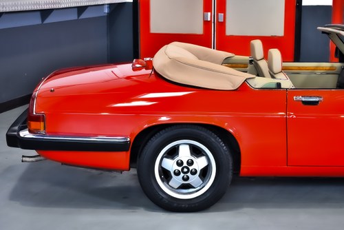 1990 Jaguar XJS Convertible 5,3L V12 "Classic Collection" In vendita (immagine 68 di 121)