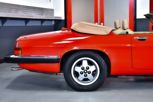 1990 Jaguar XJS Convertible 5,3L V12 "Classic Collection" In vendita (immagine 69 di 121)