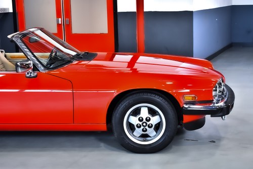 1990 Jaguar XJS Convertible 5,3L V12 "Classic Collection" In vendita (immagine 74 di 121)